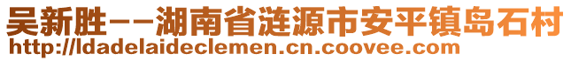 吴新胜--湖南省涟源市安平镇岛石村