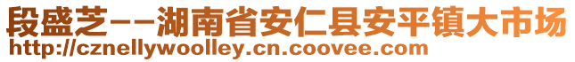 段盛芝--湖南省安仁縣安平鎮(zhèn)大市場(chǎng)