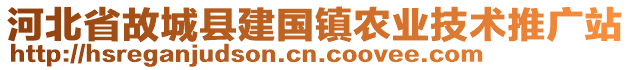 河北省故城县建国镇农业技术推广站