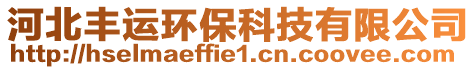 河北豐運環(huán)保科技有限公司