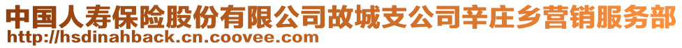 中國(guó)人壽保險(xiǎn)股份有限公司故城支公司辛莊鄉(xiāng)營(yíng)銷(xiāo)服務(wù)部