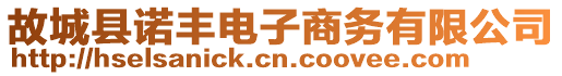 故城縣諾豐電子商務(wù)有限公司