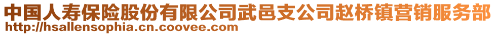 中国人寿保险股份有限公司武邑支公司赵桥镇营销服务部