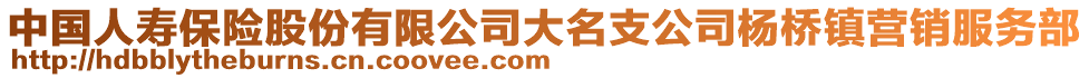 中国人寿保险股份有限公司大名支公司杨桥镇营销服务部