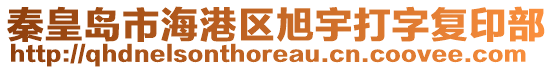 秦皇島市海港區(qū)旭宇打字復(fù)印部