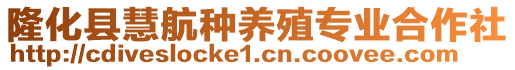 隆化縣慧航種養(yǎng)殖專業(yè)合作社