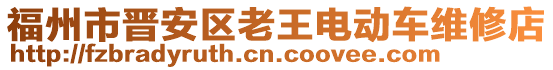 福州市晉安區(qū)老王電動車維修店