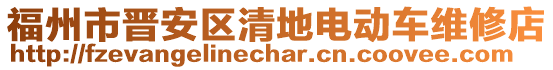 福州市晉安區(qū)清地電動(dòng)車維修店