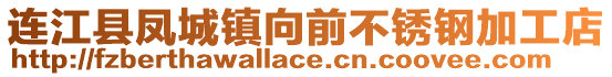 連江縣鳳城鎮向前不銹鋼加工店