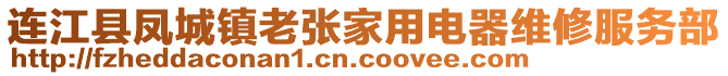 連江縣鳳城鎮老張家用電器維修服務部