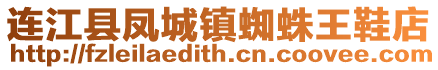 連江縣鳳城鎮(zhèn)蜘蛛王鞋店