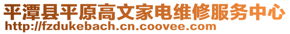 平潭县平原高文家电维修服务中心