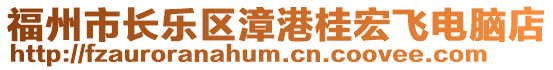 福州市長樂區(qū)漳港桂宏飛電腦店