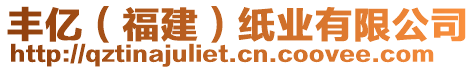 豐億（福建）紙業(yè)有限公司