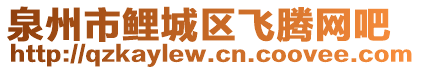 泉州市鯉城區(qū)飛騰網(wǎng)吧