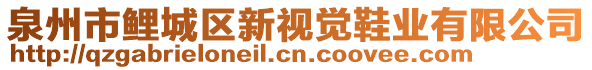 泉州市鯉城區(qū)新視覺鞋業(yè)有限公司