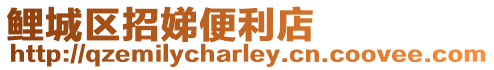 鯉城區(qū)招娣便利店