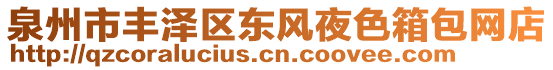 泉州市豐澤區(qū)東風(fēng)夜色箱包網(wǎng)店