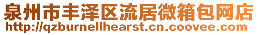 泉州市豐澤區(qū)流居微箱包網(wǎng)店