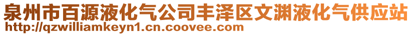 泉州市百源液化氣公司豐澤區(qū)文淵液化氣供應(yīng)站