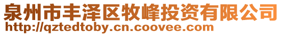 泉州市豐澤區(qū)牧峰投資有限公司