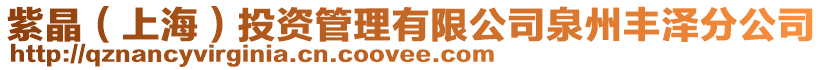 紫晶(上海)投資管理有限公司泉州豐澤分公司