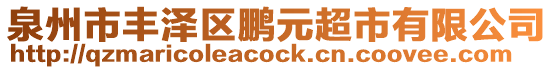 泉州市豐澤區(qū)鵬元超市有限公司