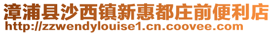 漳浦县沙西镇新惠都庄前便利店