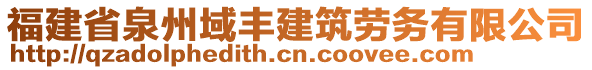 福建省泉州域豐建筑勞務(wù)有限公司