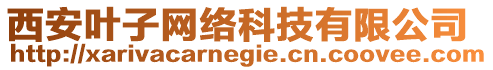 西安葉子網(wǎng)絡(luò)科技有限公司