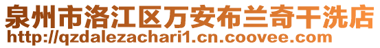 泉州市洛江區(qū)萬安布蘭奇干洗店