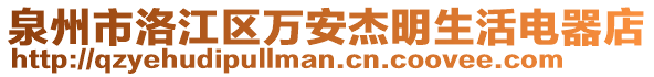 泉州市洛江區(qū)萬安杰明生活電器店