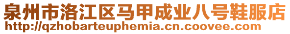 泉州市洛江區馬甲成業八號鞋服店