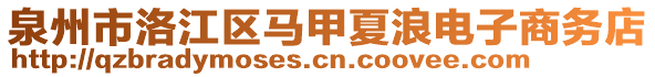 泉州市洛江區(qū)馬甲夏浪電子商務(wù)店