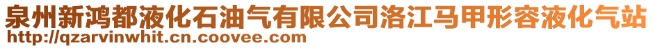 泉州新鴻都液化石油氣有限公司洛江馬甲形容液化氣站