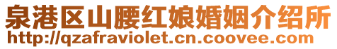 泉港區山腰紅娘婚姻介紹所