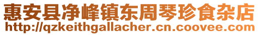 惠安縣凈峰鎮(zhèn)東周琴珍食雜店