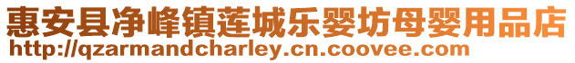 惠安縣凈峰鎮(zhèn)蓮城樂(lè)嬰坊母嬰用品店
