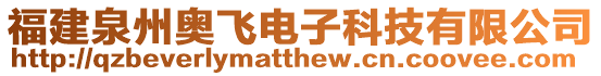 福建泉州奧飛電子科技有限公司