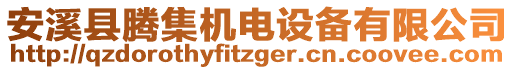 安溪縣騰集機(jī)電設(shè)備有限公司