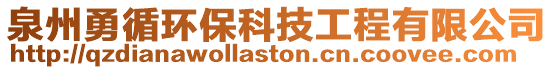 泉州勇循環(huán)保科技工程有限公司