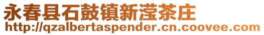 永春縣石鼓鎮新瀅茶莊