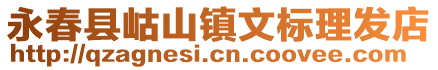 永春縣岵山鎮文標理發店