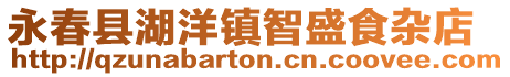永春縣湖洋鎮(zhèn)智盛食雜店