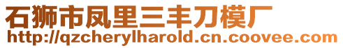 石獅市鳳里三豐刀模廠