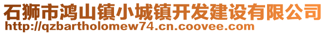 石獅市鴻山鎮(zhèn)小城鎮(zhèn)開發(fā)建設(shè)有限公司