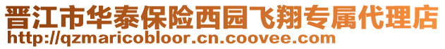 晉江市華泰保險西園飛翔專屬代理店