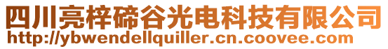 四川亮梓碲谷光電科技有限公司