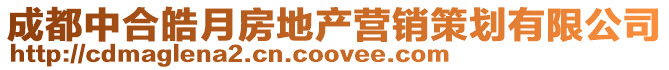 成都中合皓月房地产营销策划有限公司