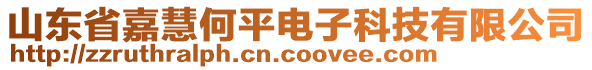 山東省嘉慧何平電子科技有限公司